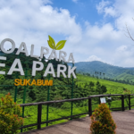 Goalpara Tea Park Jadi Destinasi Wisata Alam Favorit di Sukabumi