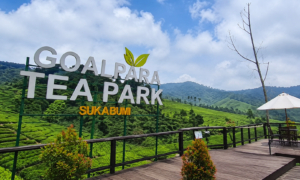 Goalpara Tea Park Jadi Destinasi Wisata Alam Favorit di Sukabumi
