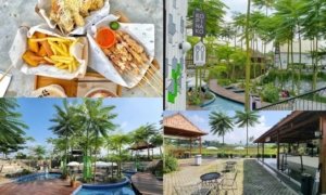 Mengapa Kopi Nako Sukabumi Selalu Ramai? Ini Daya Tariknya bagi Pengunjung
