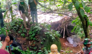 Mayat Pria Tanpa Identitas Ditemukan Membusuk di Hutan TNGGP Sukabumi