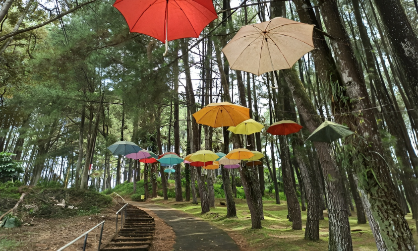 Bukit Baros wisata alam dan glamping di Sukabumi