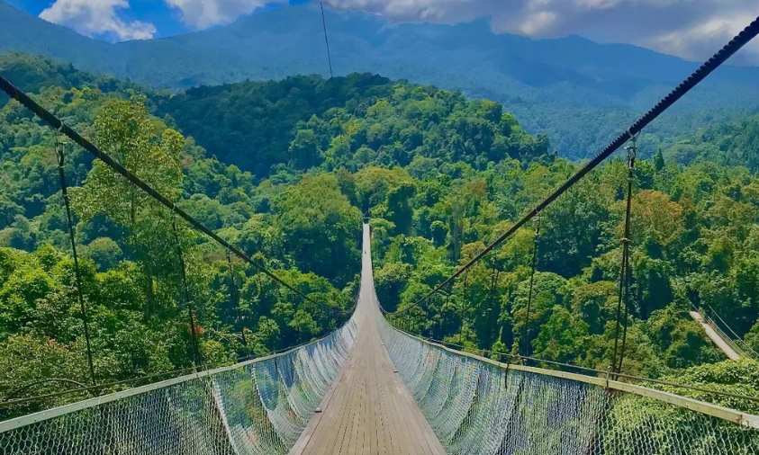 Situ Gunung Suspension Bridge dengan panorama hutan tropis di Sukabumi